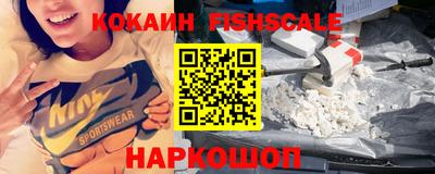 крисы Моздок