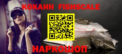 крисы Моздок
