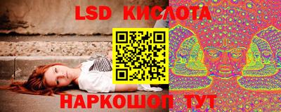 стафф Можга