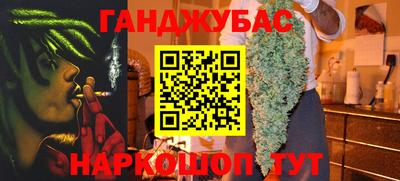 стафф Можга