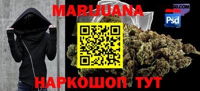крисы Моздок