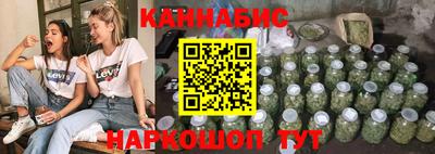 крисы Моздок
