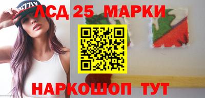 крисы Моздок