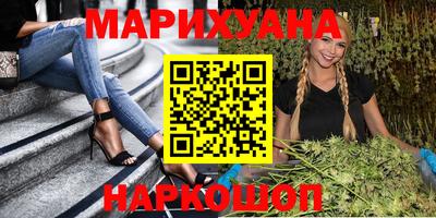 крисы Моздок
